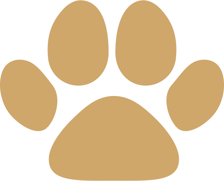 Our Footprint